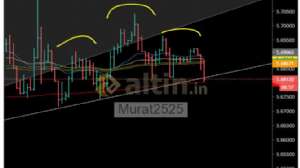 Murat2525, 10.4.2019 23:22:10 Tarihli Grafik