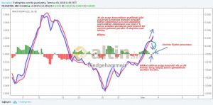 Sledgehammerr, 3.7.2018 11:57:49 Tarihli Grafik