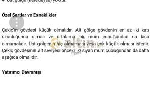 Egea, 24.1.2019 17:04:51 Tarihli Grafik