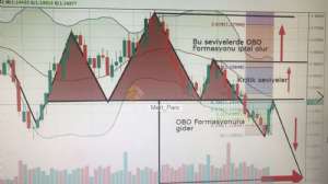 Mert_Pars, 12.11.2018 16:33:37 Tarihli Grafik