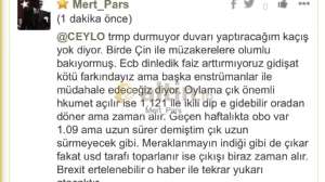 Mert_Pars, 24.1.2019 21:53:18 Tarihli Grafik