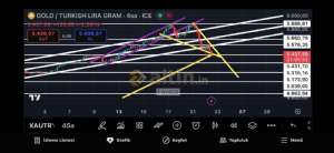 Fayaza, 22.10.2025 15:56:22 Tarihli Grafik