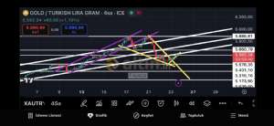Fayaza, 23.10.2025 17:01:22 Tarihli Grafik