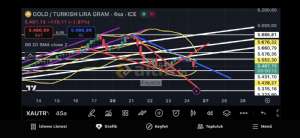 Fayaza, 24.10.2025 13:10:31 Tarihli Grafik