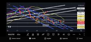 Fayaza, 30.10.2025 14:42:13 Tarihli Grafik