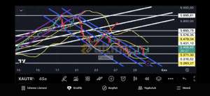 Fayaza, 30.10.2025 12:23:04 Tarihli Grafik