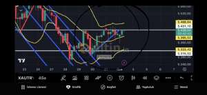 Fayaza, 3.11.2025 09:18:42 Tarihli Grafik