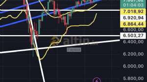 Fayaza, 11.2.2026 11:56:40 Tarihli Grafik