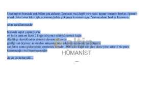 HMANST_, 30.7.2025 13:33:08 Tarihli Grafik