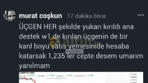 Ambarc, 31.7.2019 16:51:06 Tarihli Grafik