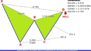 50_ot_dalgalar, 17.2.2026 10:12:34 Tarihli Grafik
