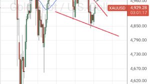 50_ot_dalgalar, 18.2.2026 11:02:16 Tarihli Grafik