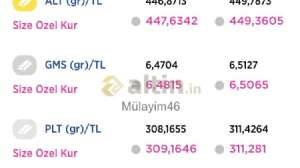 Mülayim46, 29.3.2021 22:47:30 Tarihli Grafik