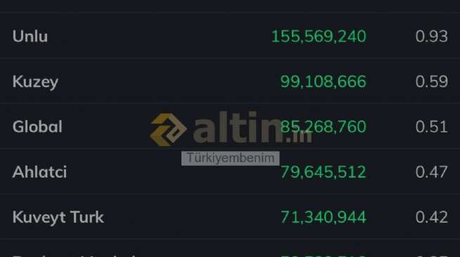 Türkiyembenim, 8.9.2026 17:59:31 Tarihli Grafik
