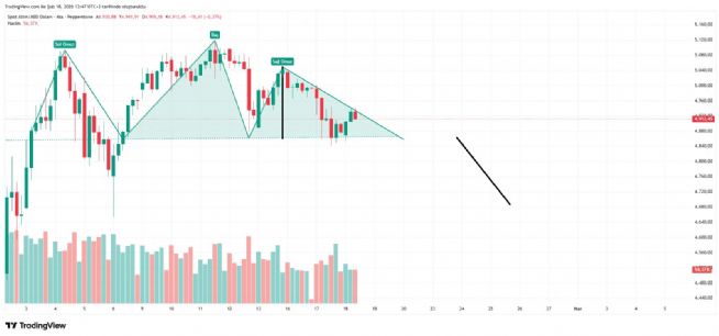 celik2119, 18.2.2026 13:51:51 Tarihli Grafik
