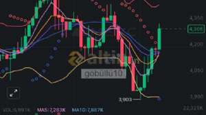 göbüllü10, 10.10.2024 22:41:55 Tarihli Grafik