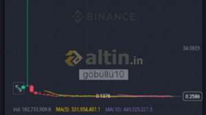 g�b�ll�10, 8.10.2024 07:58:26 Tarihli Grafik