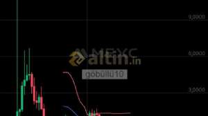 göbüllü10, 6.5.2025 13:28:30 Tarihli Grafik