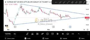 Bi_Bak�p_��kacam, 11.6.2026 09:22:24 Tarihli Grafik
