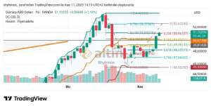 Shyhmos, 11.11.2025 15:20:38 Tarihli Grafik