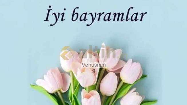 Venüsmmg, 28.5.2026 16:52:35 Tarihli Grafik