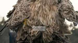 omubu, 16.7.2026 18:43:08 Tarihli Grafik
