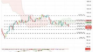 6nc_his, 24.3.2022 13:14:42 Tarihli Grafik