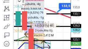 Kupa_Beyi42, 31.5.2024 08:57:48 Tarihli Grafik