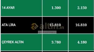 goldcashmann, 7.6.2024 23:33:15 Tarihli Grafik