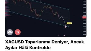 Çegirge, 23.6.2026 10:24:41 Tarihli Grafik