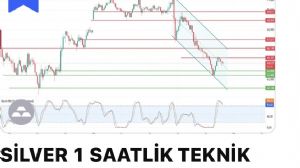 Çegirge, 23.6.2026 00:22:19 Tarihli Grafik
