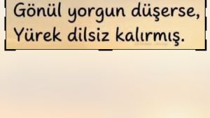 Çegirge, 19.7.2026 05:24:05 Tarihli Grafik
