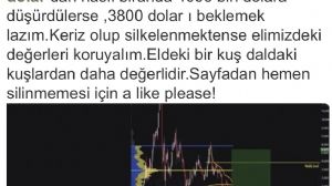 Çegirge, 2.7.2026 13:24:14 Tarihli Grafik