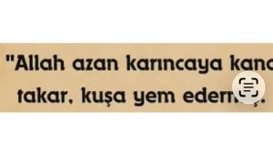 Çegirge, 7.7.2026 19:48:24 Tarihli Grafik