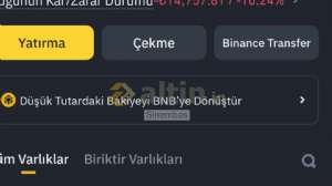 Sinembas, 6.5.2025 20:25:56 Tarihli Grafik