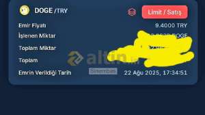 Sinembas, 22.8.2025 18:14:24 Tarihli Grafik