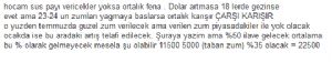 sadettiin88, 16.6.2023 12:11:30 Tarihli Grafik