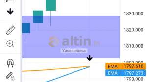 Yaseminnisa, 15.11.2021 13:00:45 Tarihli Grafik