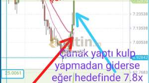 Yarasa72, 25.2.2021 23:16:06 Tarihli Grafik