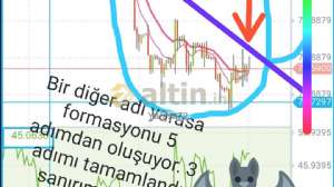 Yarasa72, 9.1.2021 21:13:24 Tarihli Grafik
