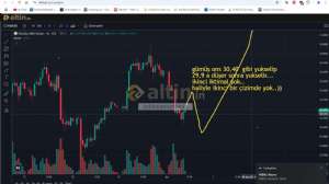 xxbirzamanlarxx, 2.1.2025 17:15:53 Tarihli Grafik