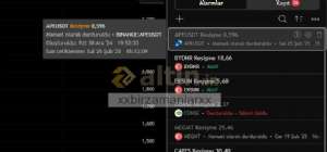 xxbirzamanlarxx, 25.2.2025 17:04:01 Tarihli Grafik