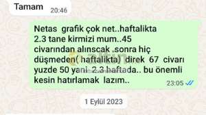 xxbirzamanlarxx, 18.8.2025 12:11:06 Tarihli Grafik