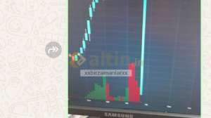 xxbirzamanlarxx, 18.8.2025 12:20:31 Tarihli Grafik