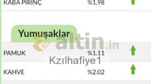 Kzılhafiye1, 16.5.2022 10:16:32 Tarihli Grafik