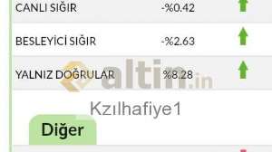 Kzılhafiye1, 21.5.2022 15:03:07 Tarihli Grafik