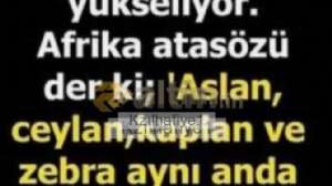 Kzlhafiye1, 7.10.2025 14:20:18 Tarihli Grafik