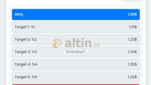 Kzılhafiye1, 16.11.2025 13:01:19 Tarihli Grafik