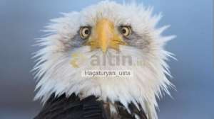 Ha�aturyan_usta, 16.7.2026 18:47:00 Tarihli Grafik