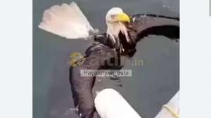 Ha�aturyan_usta, 21.7.2026 23:35:38 Tarihli Grafik